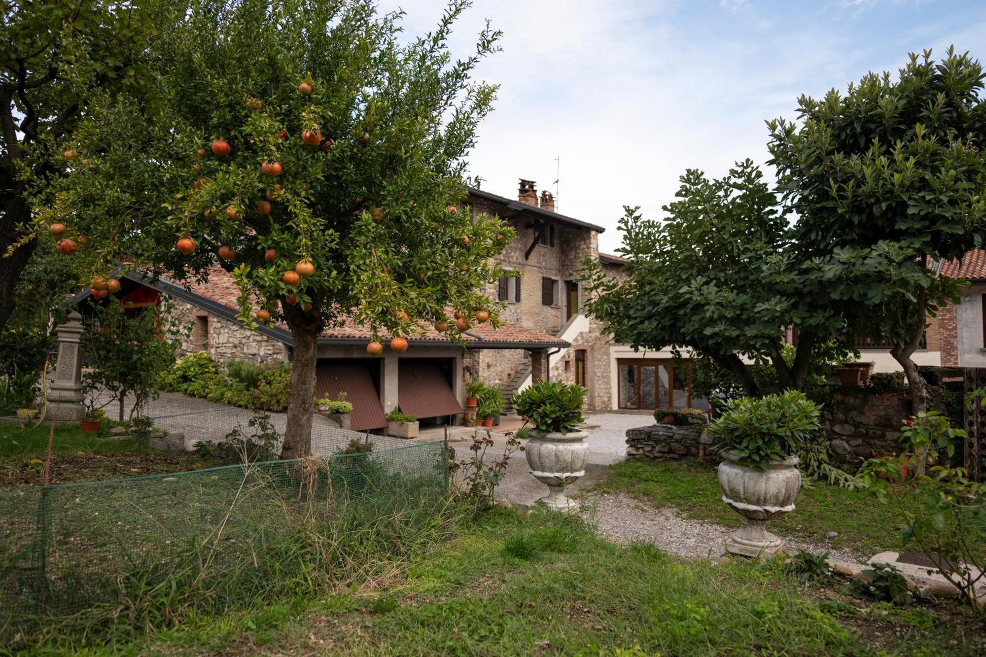 كورتي فرانكا La Terrazza Sulle Vigne B&B المظهر الخارجي الصورة