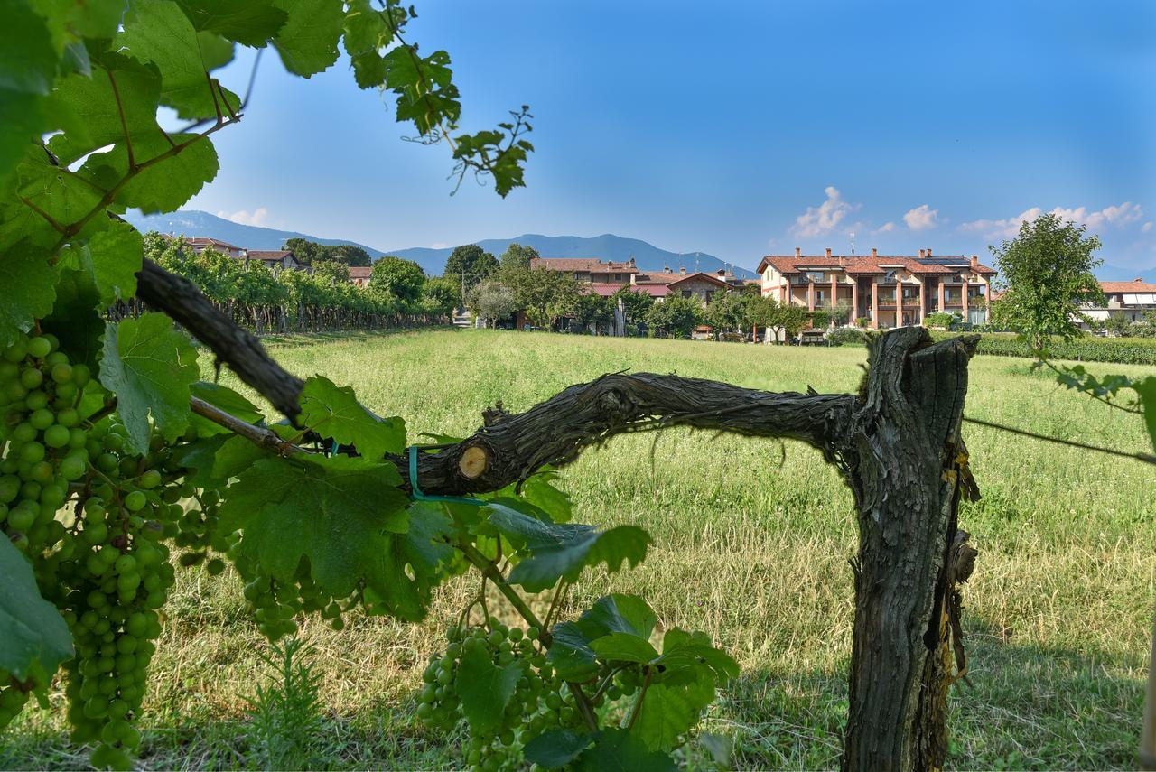كورتي فرانكا La Terrazza Sulle Vigne B&B المظهر الخارجي الصورة